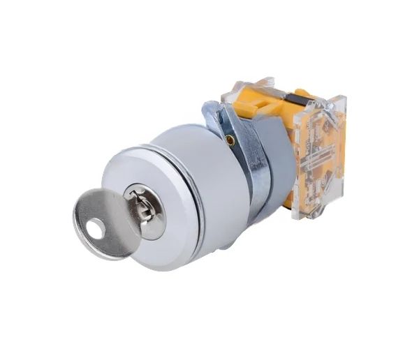 LA39-C(30mm) Series Key Switches, APT